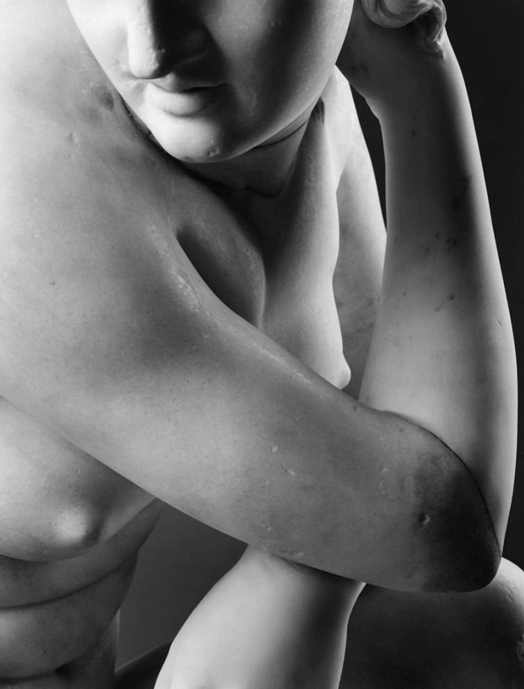 Immagine Afrodite ©luigispina